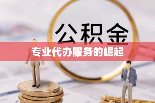 远安专业代办服务的崛起