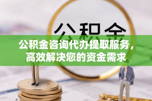 远安公积金咨询代办提取服务，高效解决您的资金需求