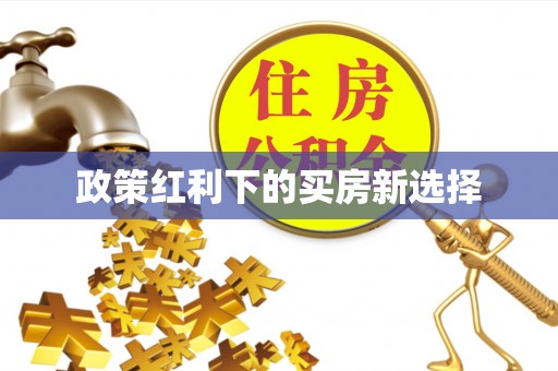 远安政策红利下的买房新选择