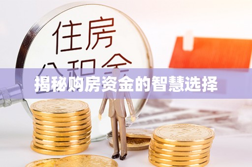远安揭秘购房资金的智慧选择
