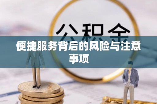 远安便捷服务背后的风险与注意事项